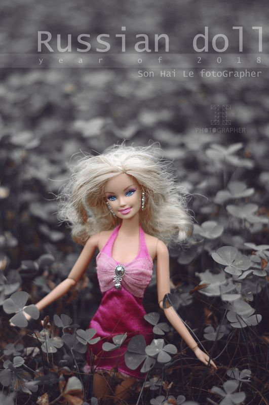 Russian Dollphoto preview