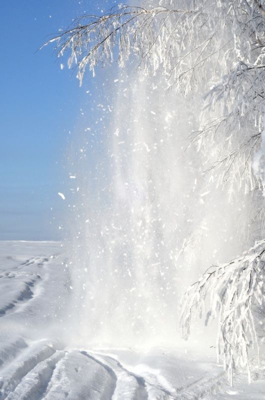 зима, снег, деревья, опушка, поле Снежный взрыв фото превью