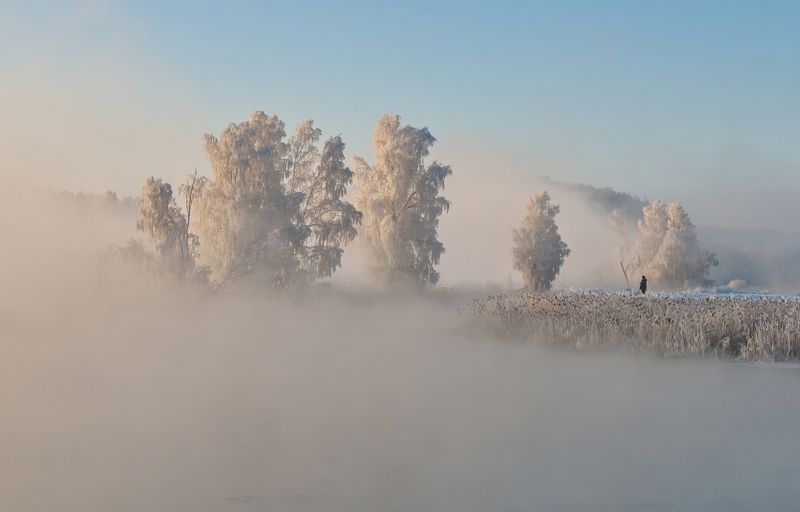 утро, туман, солнце, свислочь Холодное утроphoto preview