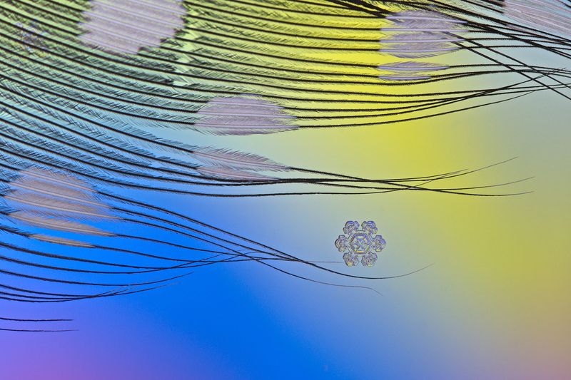 снежинка, снежинки, макро, зима, кристалл, природа Цветы февраляphoto preview