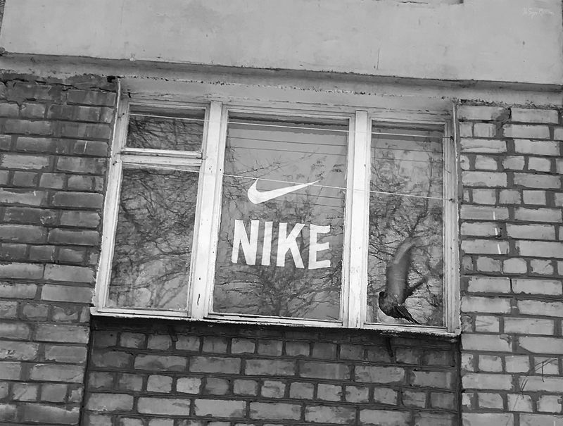 улица,город,дом,окно,птица,голубь ***photo preview