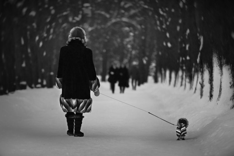 зима, снег, аллея, парк победы, собачка, стиль, стиляги, костюм, модницы Мы с Тамарой ходим парой..photo preview