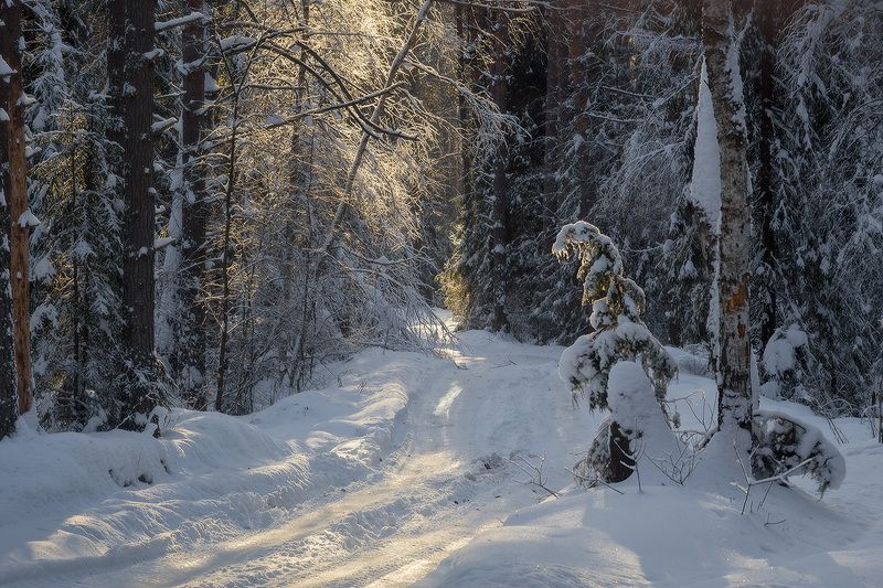 зима дорога страж Зимний стражphoto preview