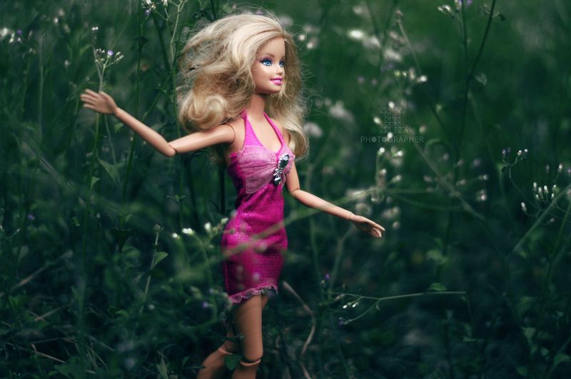 Russian Dollphoto preview