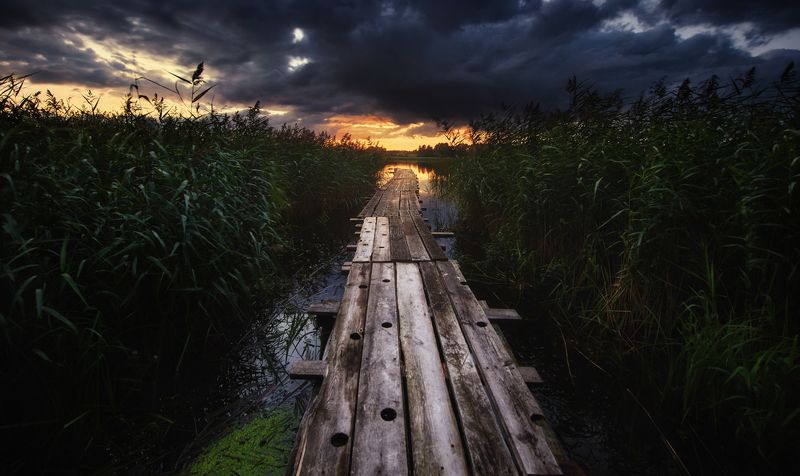 summertime, poland, masurian, lade, district Betweenphoto preview