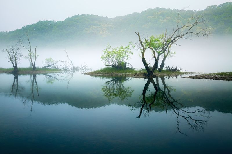 landscape Dreams of Greenphoto preview