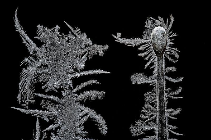 зима морозные узоры Морозные узоры...photo preview