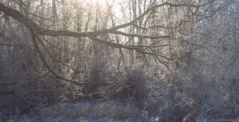 пейзаж, природа, облака, путешествия, travel, wildlife, nature, sky, landscape, sunrise, рассвет Морозное утроphoto preview