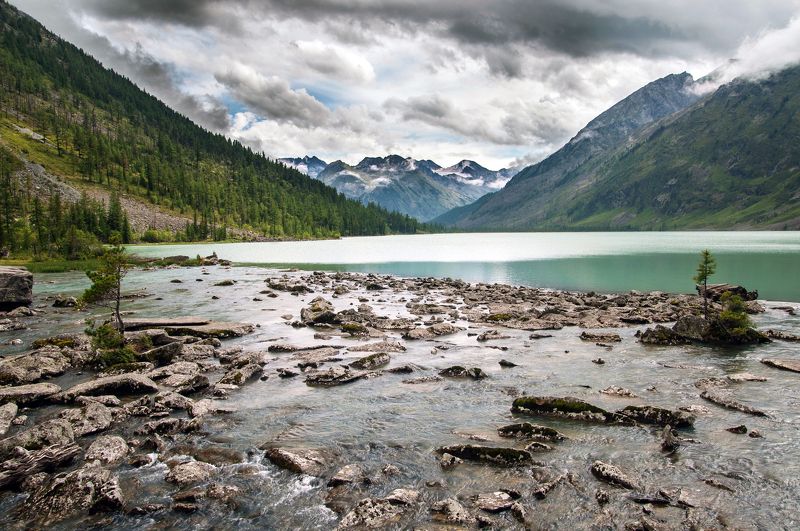 алтай, шумы, мульта На Шумахphoto preview