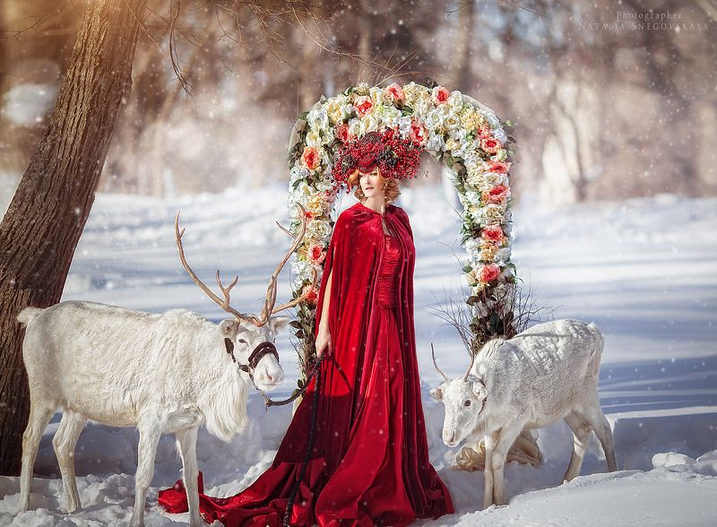 #Самара #зимняясказка #северныйолень #фотоссевернымоленем #лиса #фотосессияслисой #белыйсеверныйолень #фотосживотными #цветыручнойработы #снежнаякоролева #кокошникручнойработы #съёмкавянваре #сказка #солнце #январь #натальяснеговская #съёмкасживотными #Sa Проект \