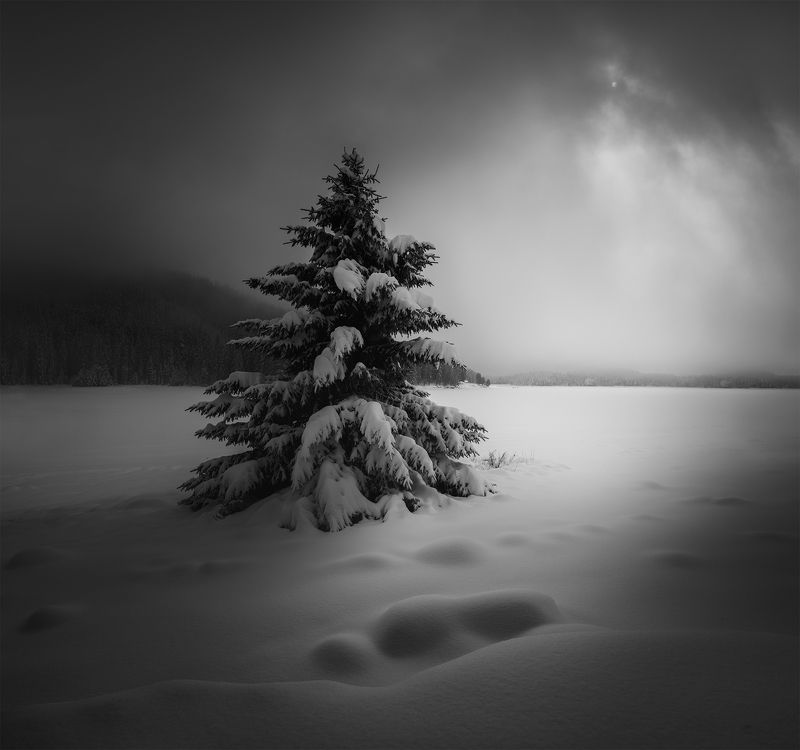 black&white, landscape, пейзаж, winter Dramatic morningphoto preview