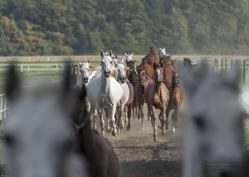 pomiędzy..photo preview