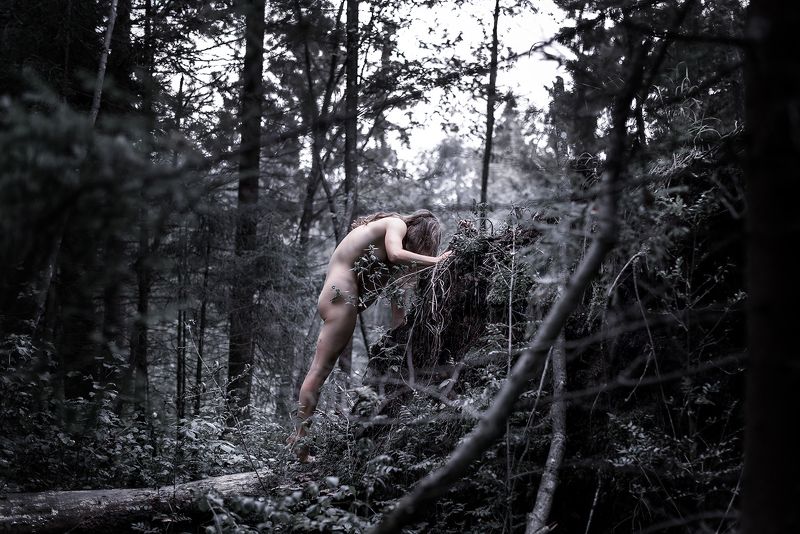 Solitude 16/4photo preview