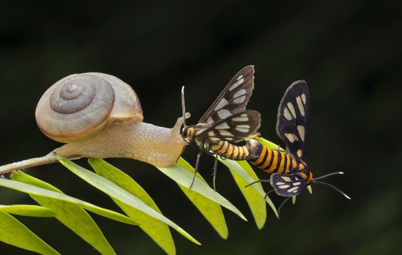 What Is Love?photo preview