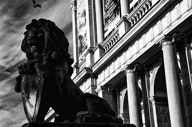 ДОЗОРphoto preview