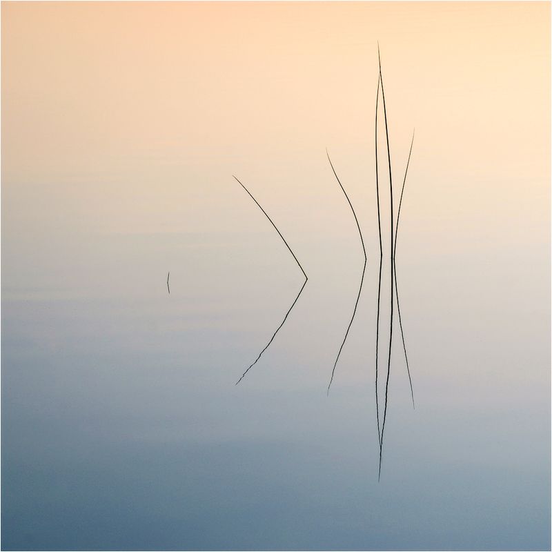 минимализм min.photo preview