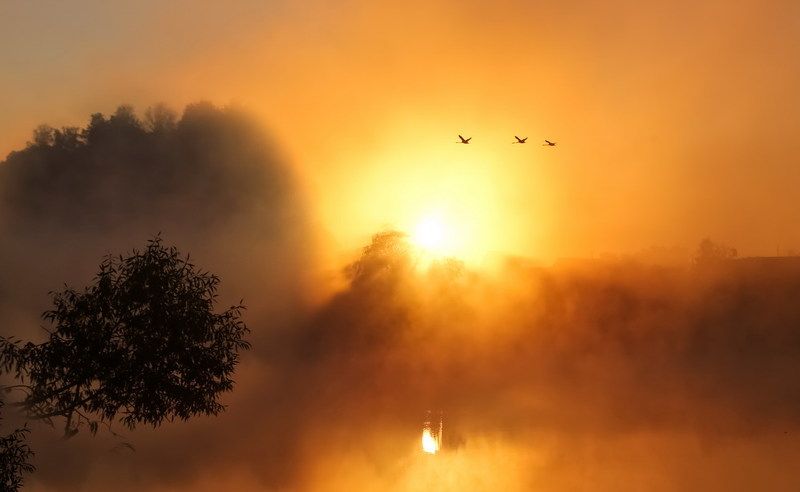 К родным берегамphoto preview