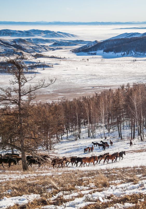 Путешествиеphoto preview