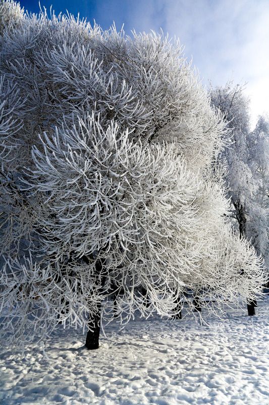 В городе мороз !photo preview