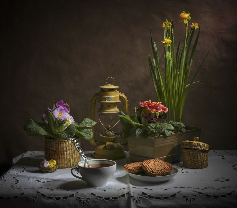 весна,нарцис,примула,натюрморт, Весенний с примулой и нарциссами.photo preview