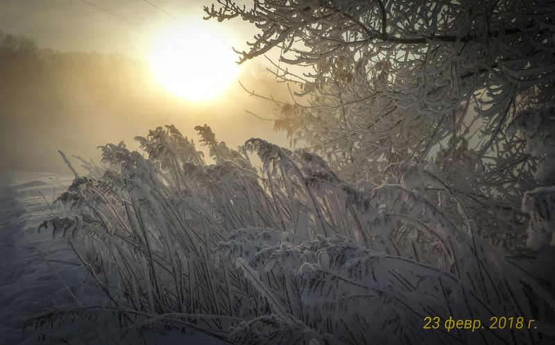 Холодным февральским утром, как утешение красотой мира ...photo preview