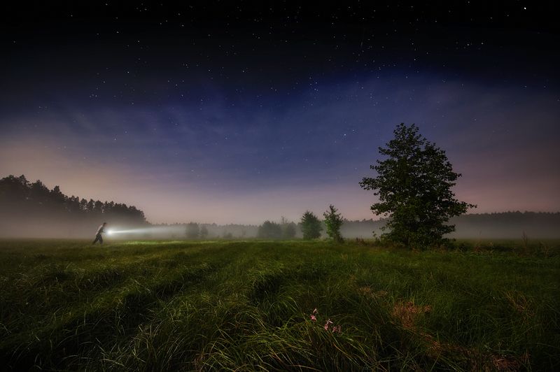 night, forest, mist, human, autoportrait Who shortens his paths...photo preview