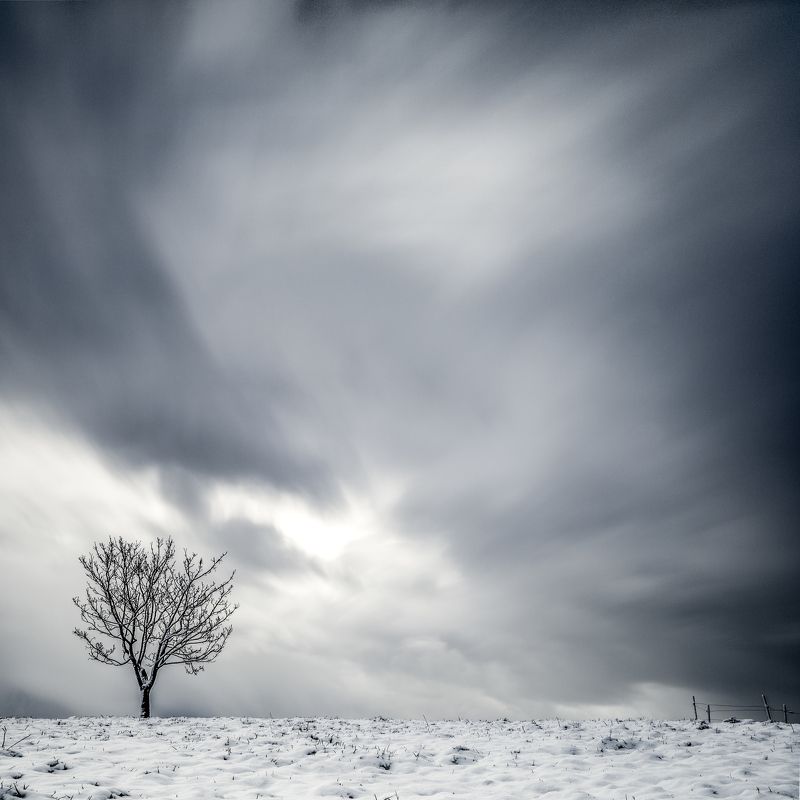 tree,winter,long exposure,minimalismus,sky alone treephoto preview