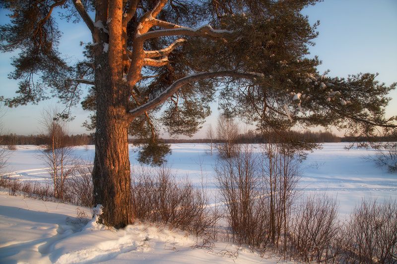 ********photo preview