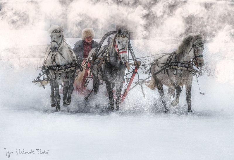 Тройкаphoto preview