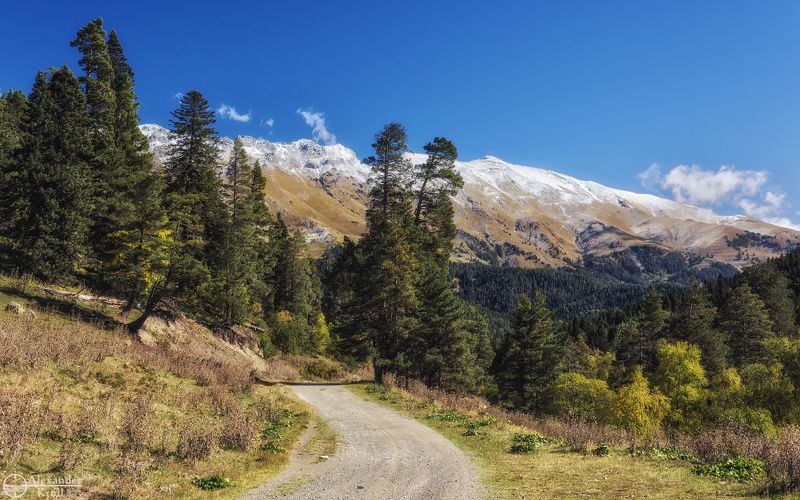 Иду, любуюсь...photo preview