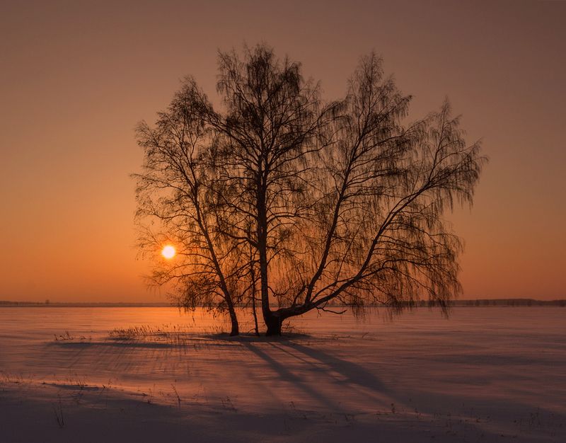 На закате дня...photo preview