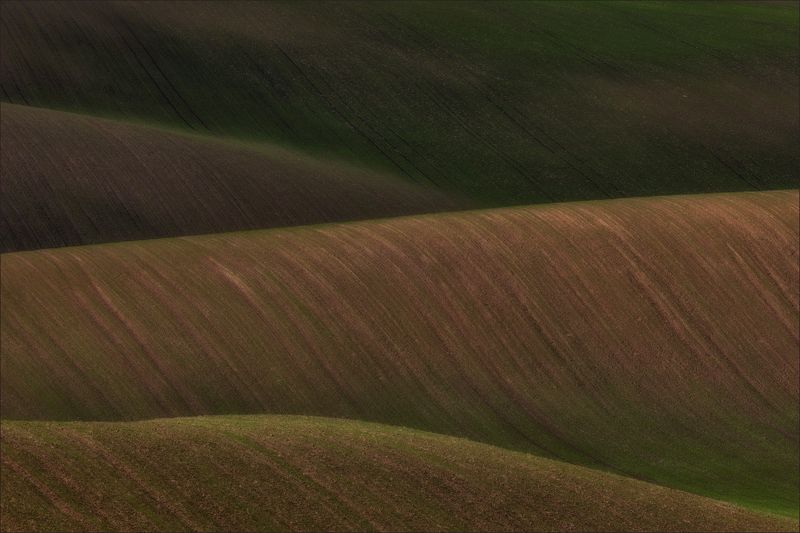 южная моравия,hils,линии,south moravian,волны,lines,свет,czech,осень,чехия,landscapes,абстракция. Абстракция фото превью