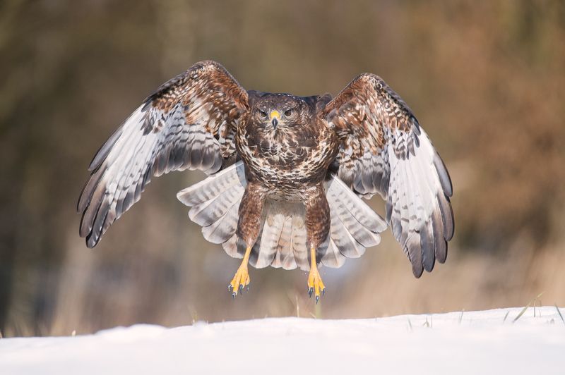 I\'LL get You...photo preview