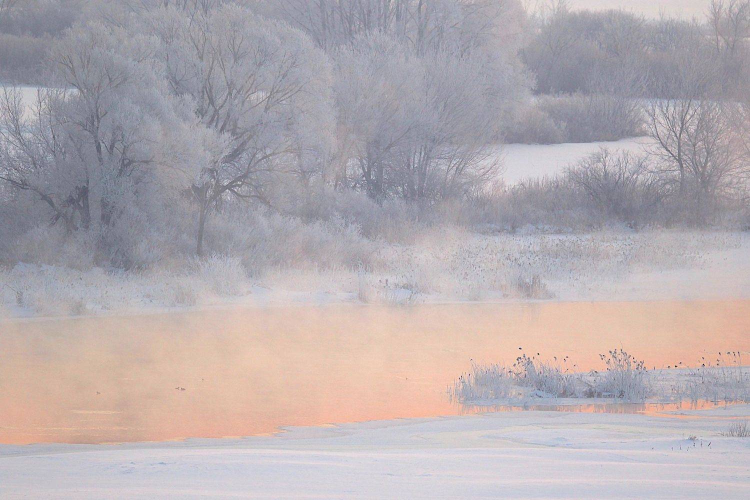 февраль,река воронеж,утро,восход,липецк,природа,зима,, Мазурин Евгений