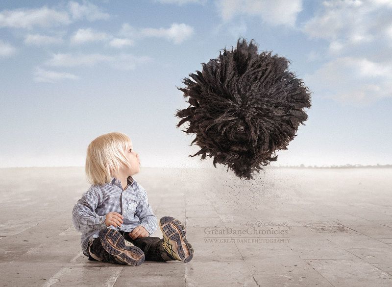 Return of the Magic Mop!photo preview