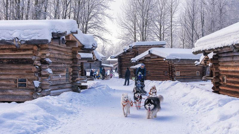 зима, снег, дома_деревянные, избушки, хаски, упряжка, гонки В сказочном городкеphoto preview