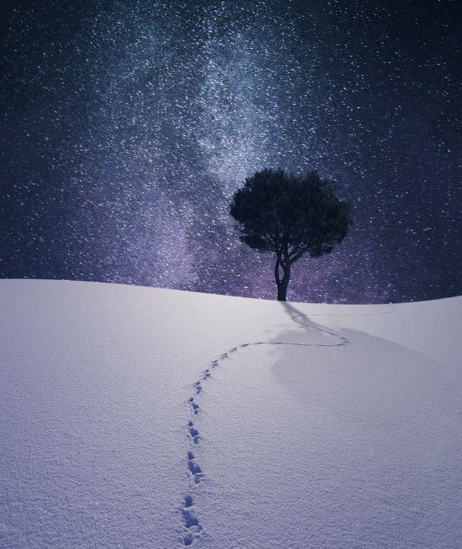 Lithuania, night, tree, sky, milky way, snow, winter *photo preview