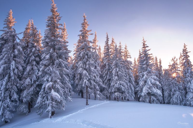 snow., mountain, .glacier.evergreen, .snowfall., ridge, .snowy., slope, .mountain., peak., mountain., range., snowcapped., mt, foraker. ***photo preview