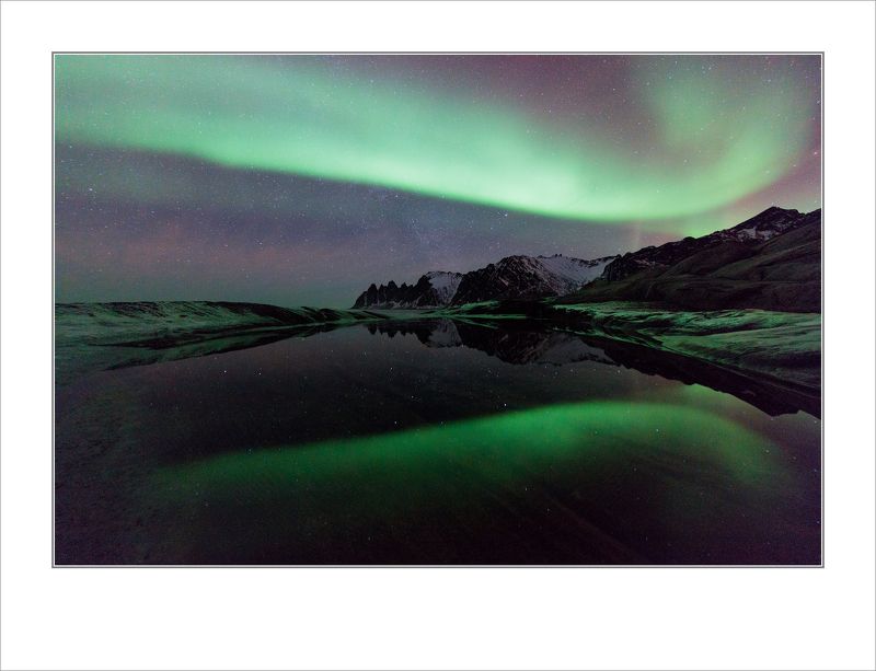 Охота на лис \\ Прекрасная природаphoto preview