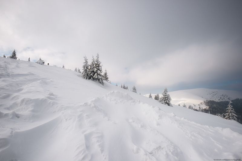 Путь наверхphoto preview