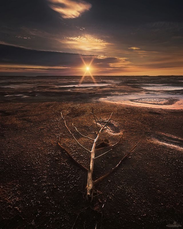 баскунчак Соленые степи горячей землиphoto preview