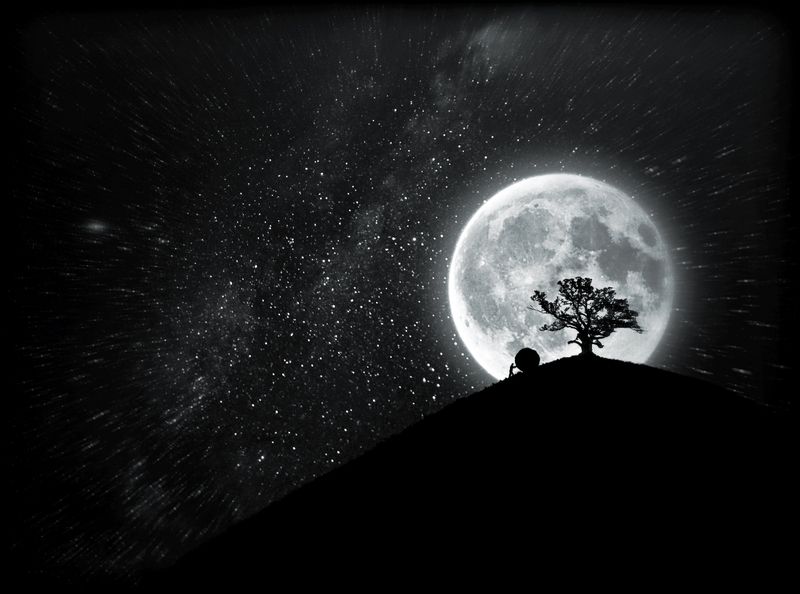 The End!photo preview