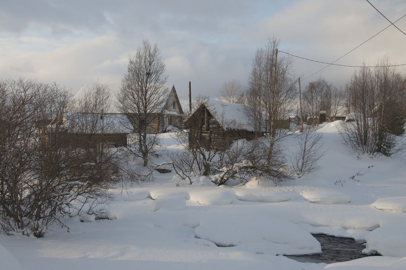 умба ***photo preview