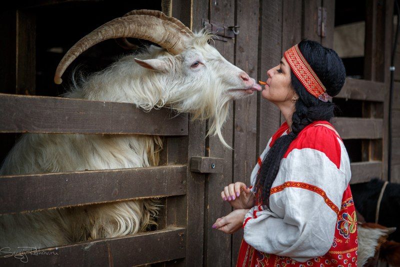 девушка, козёл, ферма, поцелуй, загон, rekhov, sergejrekhov Любовь зла... этим козлы и пользуются))photo preview