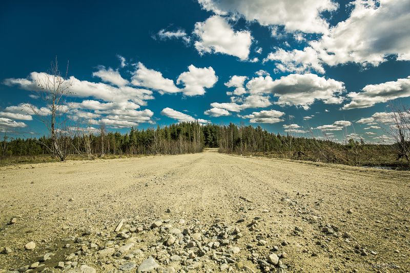 #photobydmitrygorkovets #landscapes #karelia #road Road. Дорога.photo preview