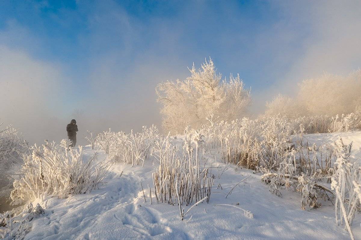 , Олег Логунов