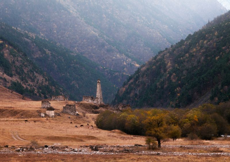 Заповеник «Эрзи», Ингушетияphoto preview