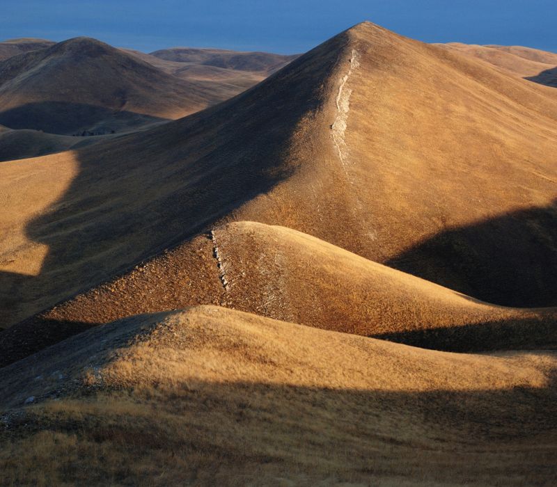 горы долгие, оренбургская область, степи Золотистый бархат утраphoto preview