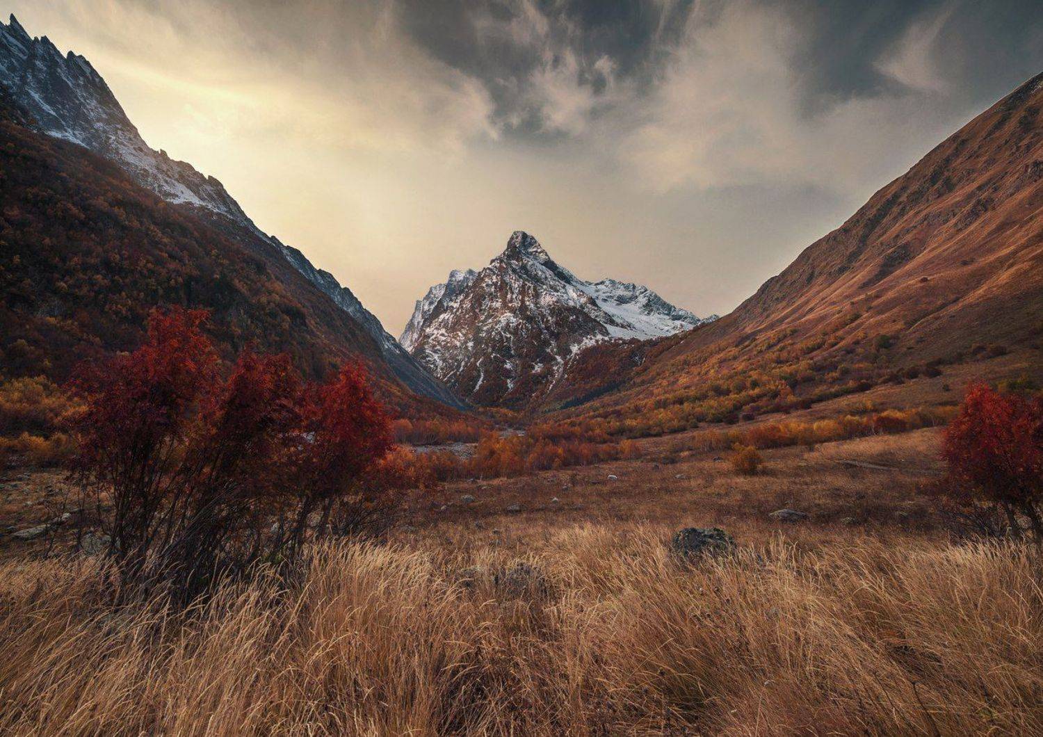 настроение "Осень". Автор: Алексей Дранговский , Алексей Дранговский