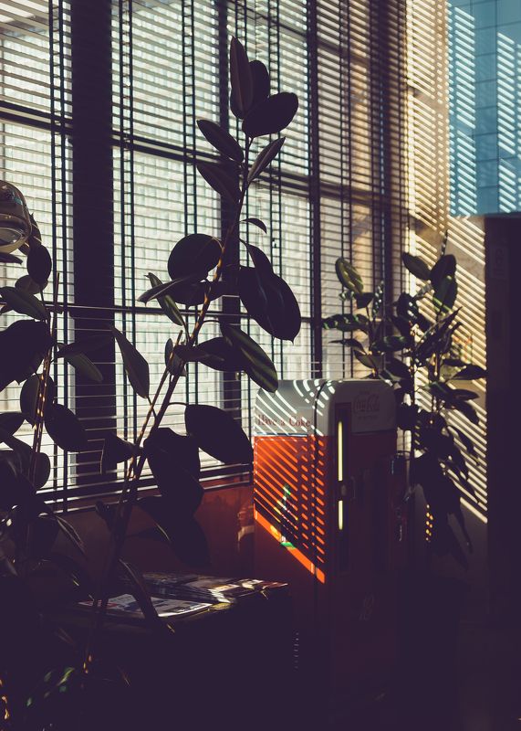 light, shadow, color, geometry  geometry of the mood фото превью